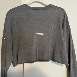 Alo yoga crop fleece